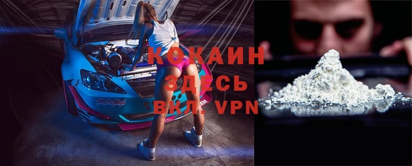 крисы Новодвинск
