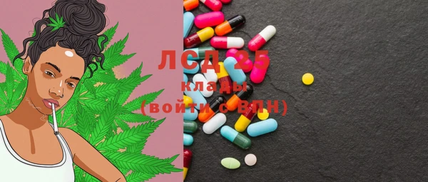 крисы Новодвинск