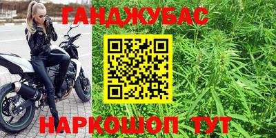 сатива Краснокаменск