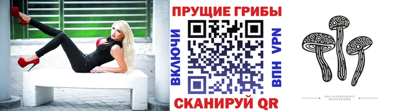 Галлюциногенные грибы прущие грибы  сайты даркнета состав  Кисловодск 