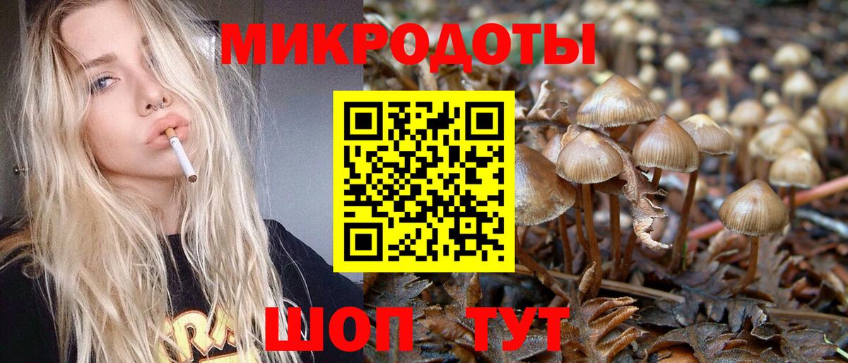 Псилоцибиновые грибы Psilocybine cubensis  Галлюциногенные грибы мухоморы  Кисловодск  Вход с VPN 