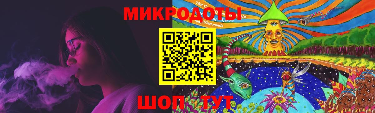 Галлюциногенные грибы Psilocybine cubensis Кисловодск